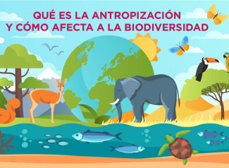 Qué es la antropización y cómo afecta a la biodiversidad.