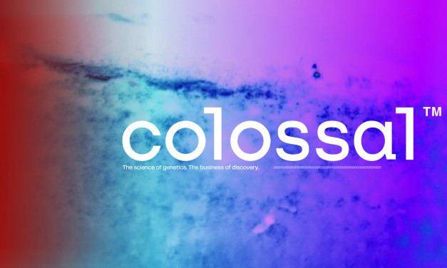 La startup Colossal Biosciences planea revivir al dodo, un ave que se extinguió en el siglo XVII.
