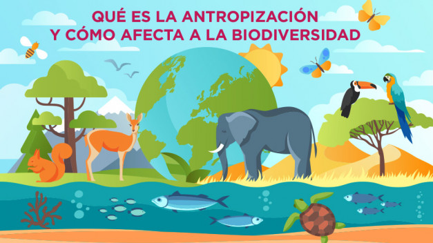 Qué es la antropización y cómo afecta a la biodiversidad.