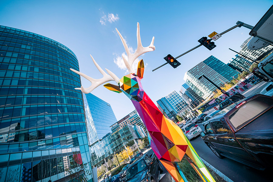 Land Diversity Wild obra del artista Okuda San Miguel en el Paseo Marítimo de Boston del año 2018