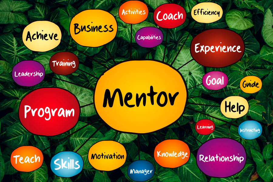 Cualidades del mentor reverse mentoring